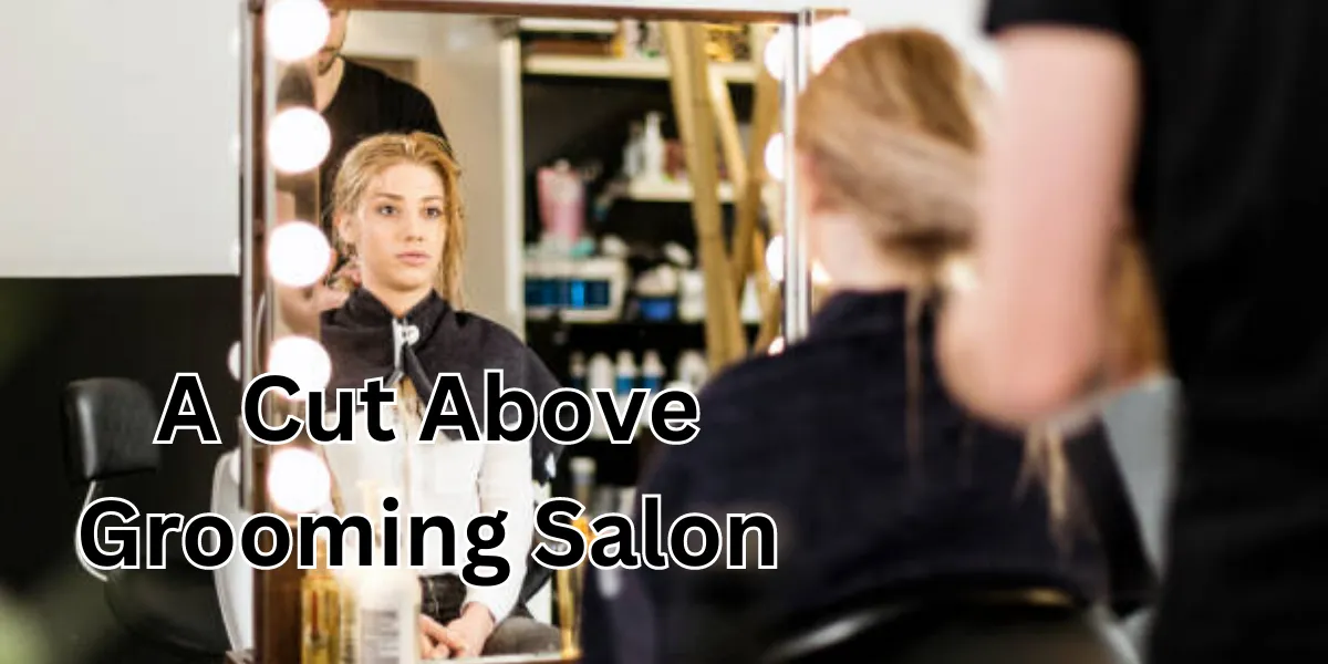 a cut above grooming salon