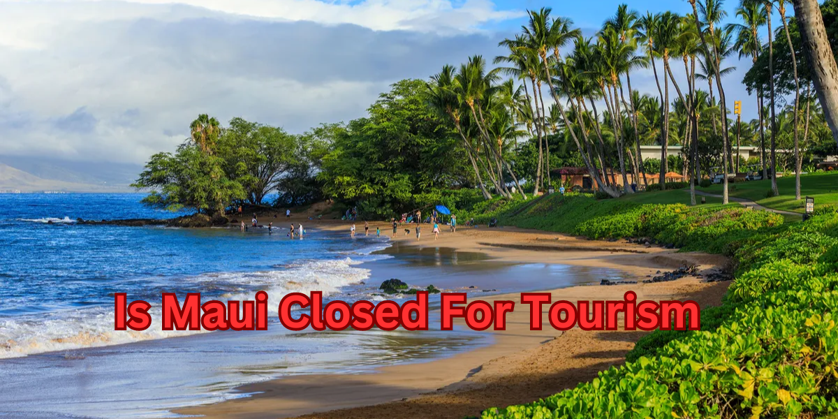 Is Maui Closed For Tourism